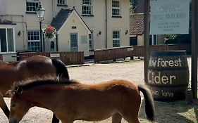 The Pigs' Pantry, Burley